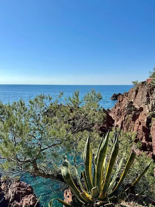 Villa Provencale Avec Vue Mer, Proche Centre Ville Et Plages. Saint-Raphael